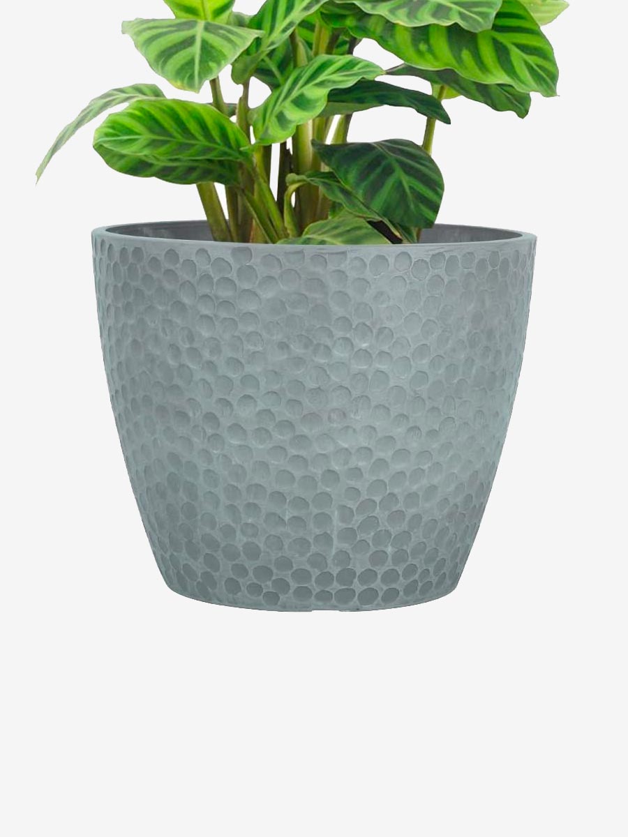 product-18-2